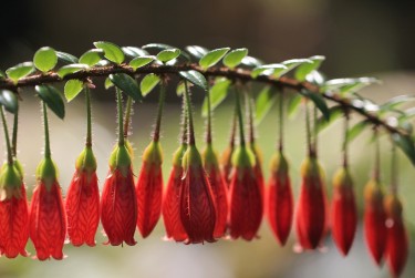 佛山南海区3私人快速借钱网，轻松解决资金难题