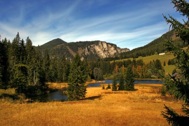 佛山南海区3民间私贷攻略：揭秘低成本借贷的秘密