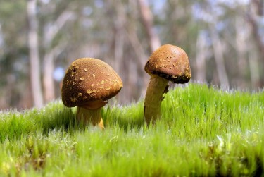 佛山南海区3私人老板放款：轻松融资的秘密通道